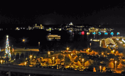 View of Bay Lake from Our Balcony