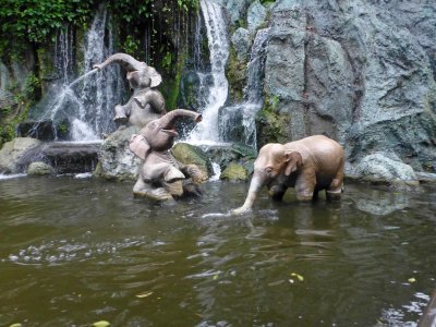On the Jungle Cruise at the Magic Kingdom