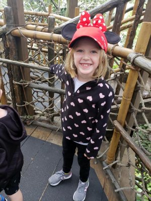 At the Swiss Family Robinson Treehouse in the Magic Kingdom