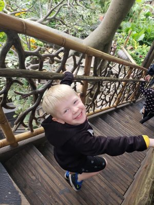 At the Swiss Family Robinson Treehouse in the Magic Kingdom