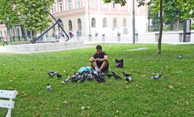 The Pigeon Whisperer in Congress Square, Ljubljana, Slovenia