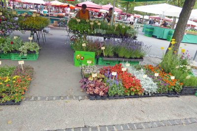 Flower market in Ljubljana, Slovenia