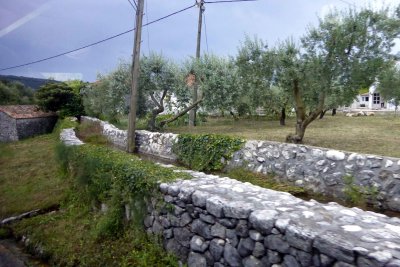 Old stone aqeduct and olive trees in the Konavle Valley of Croatia