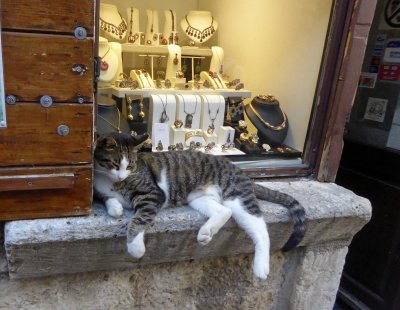 Cats are considered a symbol of good luck in Kotor, Montenegro, and there is even a Cat Museum
