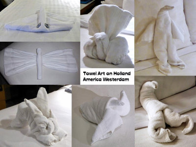 A few of our favorite towel art animals on the Westerdam
