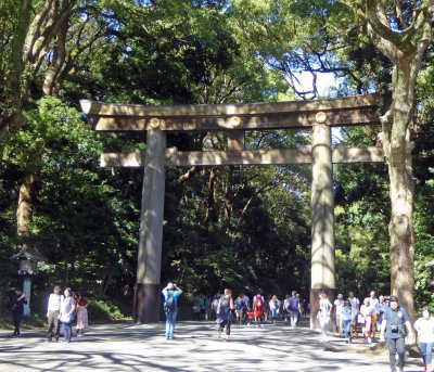 The first wooden Torii Gate at Meji Shrine is made of 1500-year old cypress