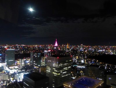 City of Tokyo and Skytree from South Tower Observation Deck