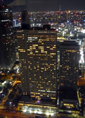 Our Hotel (KEIO Plaza) from South Observation Tower