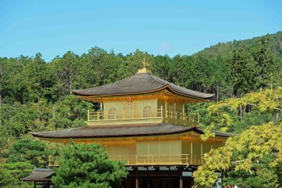 The Golden Pavilion is covered with 200,000 sheets of gold leaf