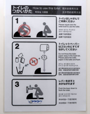 How to use Japanese toilet
