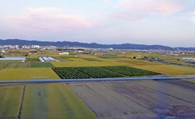 Farmland between Kyoto and Osaka, Japan