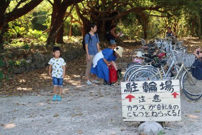 Bicycle parking at Kaiji Beach on Taketomi Island