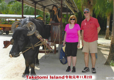 Our water buffalo cart and tour guide on Taketomi Island