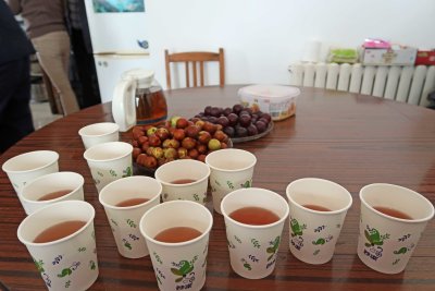 Chinese tea, jujubes (Chinese apple fruits), and grapes