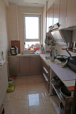 Kitchenette in Dalian, China apartment