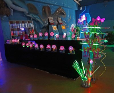 Lighted sourvenirs at the Pole Aquarium, Dalian, China
