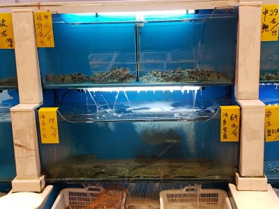 Fresh fish at restaurant in Dalian, China