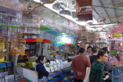 Bird and cage aisle in the market at Shanghai