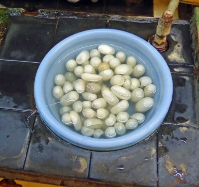 Silkworm cocoons are placed in hot water to kill the pupae and loosen the filaments