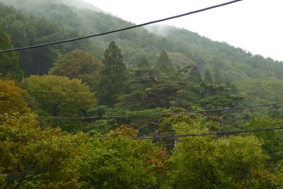 Early fall in the mountains of Busan, Korea