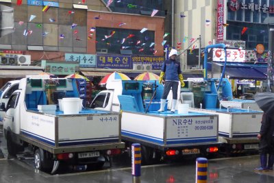 Delivering fresh fish to market in Busan, Korea
