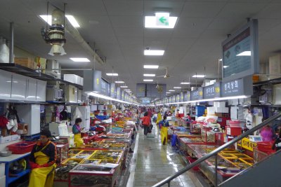 Inside Fish Market in Busan, Korea