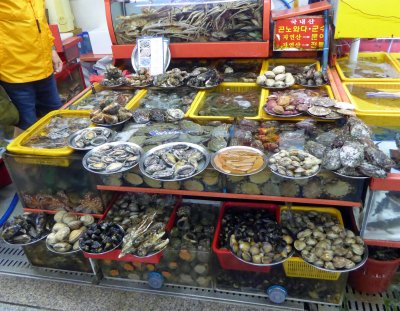 If it comes from the sea, you can buy it at the Busan Fish Market