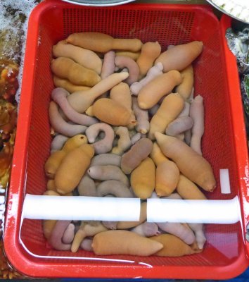 Penis fish (a species of the marine spoon worm) are often eaten by Koreans raw with salt and sesame oil