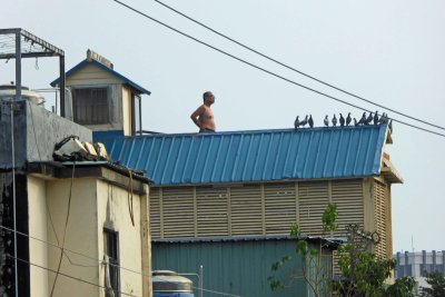 Just a man and his pigeons in Kaohsiung, Taiwan