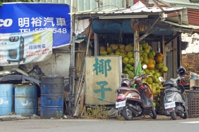 What a lovely bunch of coconuts in Kaohsiung, Taiwan