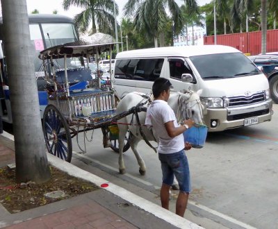 Carriage ride in Manila