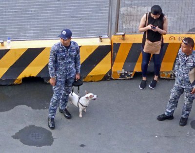 I assume this is a drug dog in Manila