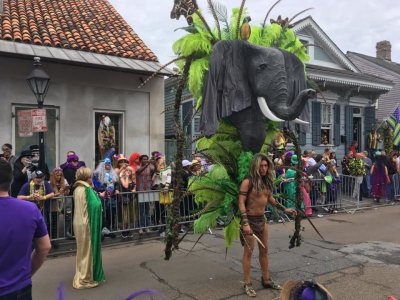 Fat Tuesday