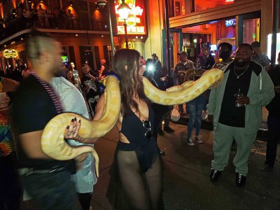 Snake Handler on Bourbon St.