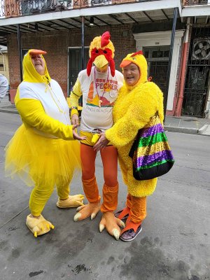 Duck, Rooster, Hen