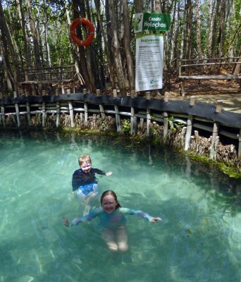 Cenote Helechos is the smallest & clearest in the park