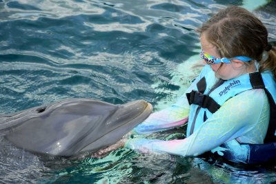 Maddie and Katie the dolphin