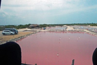 Pink Salt Flats of the Yucatan Peninsula
