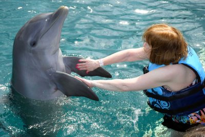 Susan interacting with dolphin