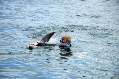 William preparing to ride a dolphin