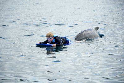 William waiting for dolphin to start pushing him