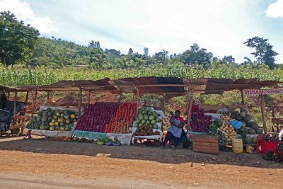 Fruit stands along road A2 in Kenya