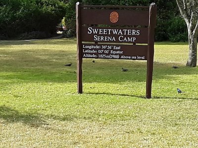 Arriving at Sweetwaters Serena Camp, Kenya
