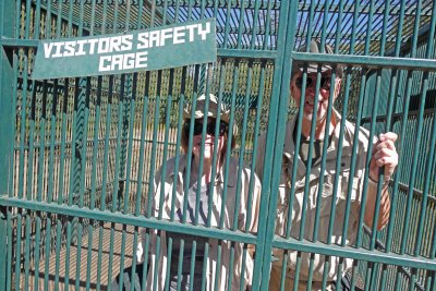 Cage has only been used once to protect visitors from Chimps