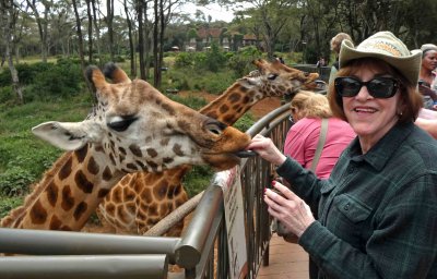 A visit to the Giraffe Center in Nairobi