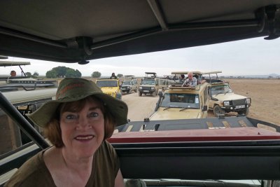 Safari vehicle traffic jam following Elephants crossing the road