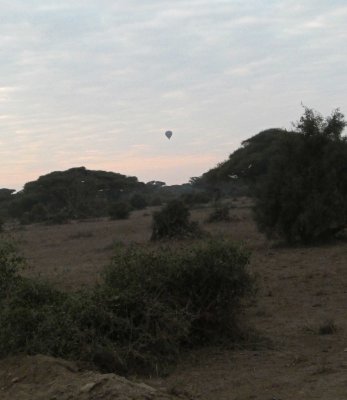 Balloon over Amboseli National Park