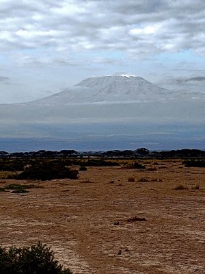 Mount Kiliimanjaro is Africa's highest mountain and has snow on its peak year round