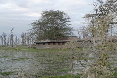 Nature reclaiming flooded abandoned lodge