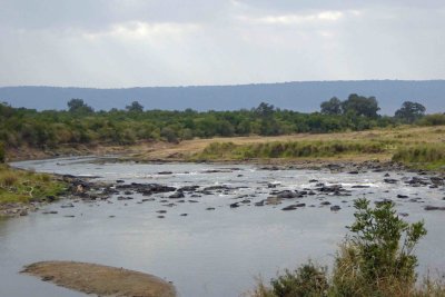 The Mara River is low in places during the dry season